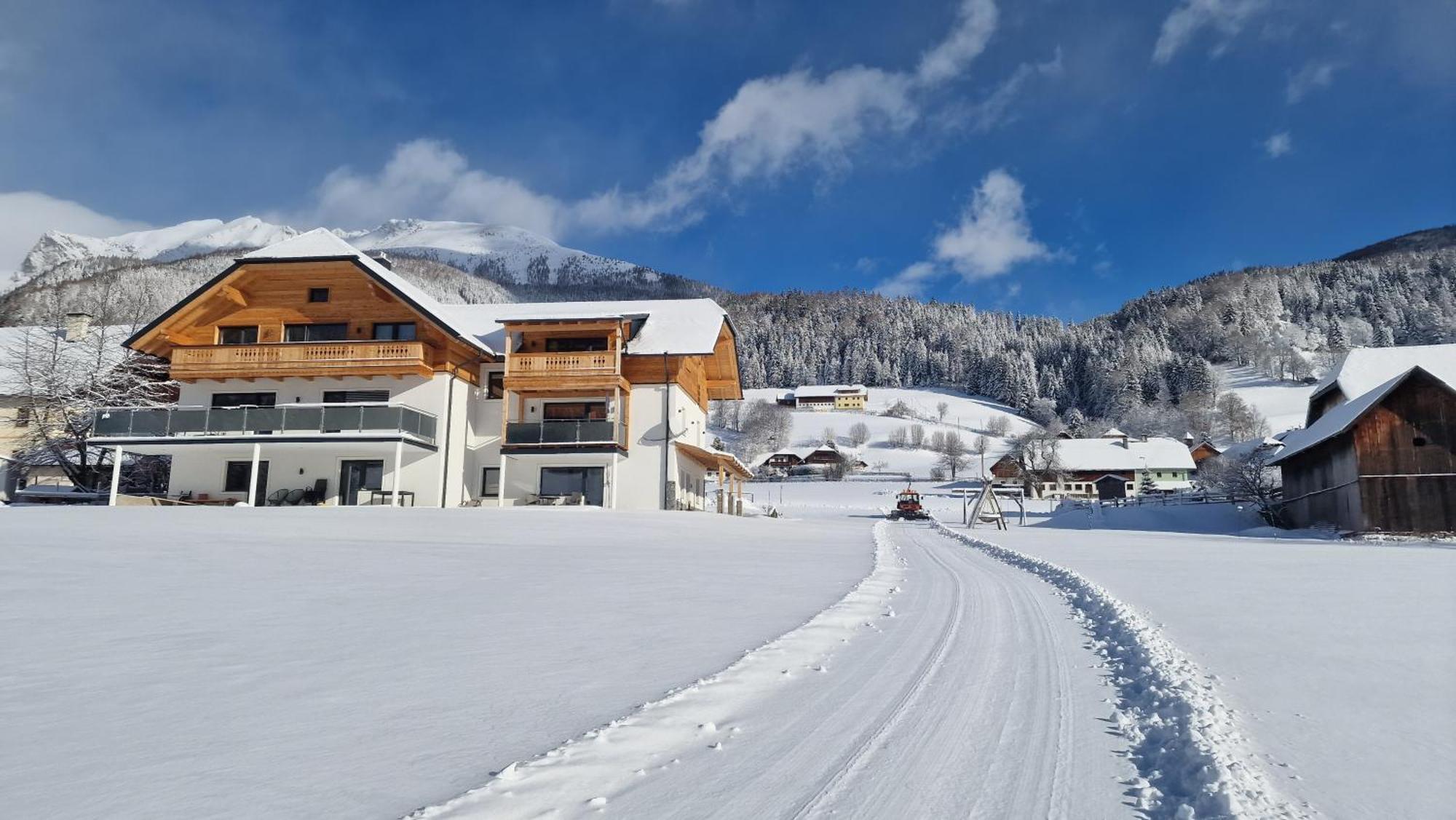 Moamoosgut Appartement Goriach  Buitenkant foto